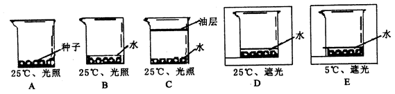 澳门太阳集团官网www