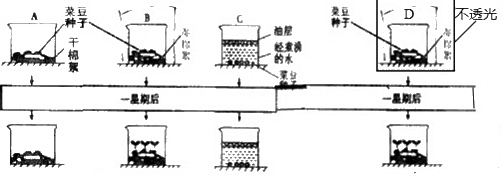 澳门太阳集团官网www