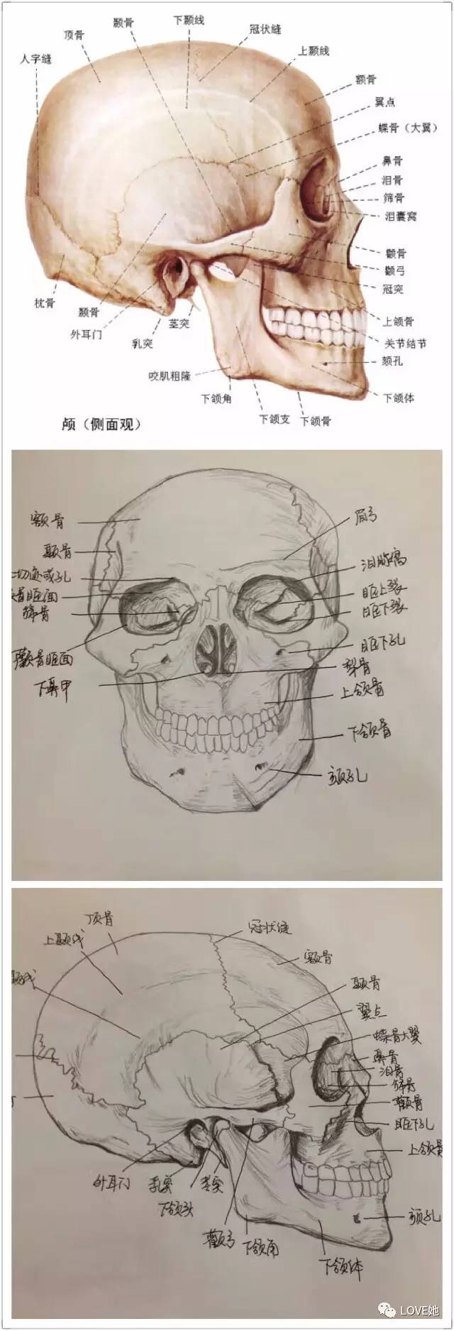 棋牌娱乐www官方网址入口