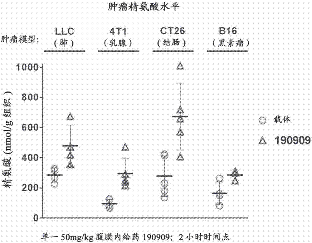 棋牌娱乐www官方网址入口